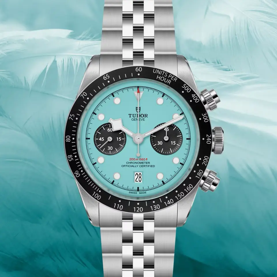 Die Tudor Black Bay Chrono Flamingo Blue – stilvoll in Szene gesetzt mit Palmenschatten im Hintergrund.